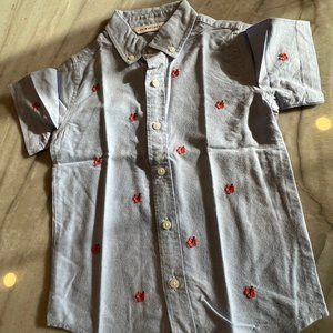 Janie & Jack Boys 4T short sleeve button up oxford